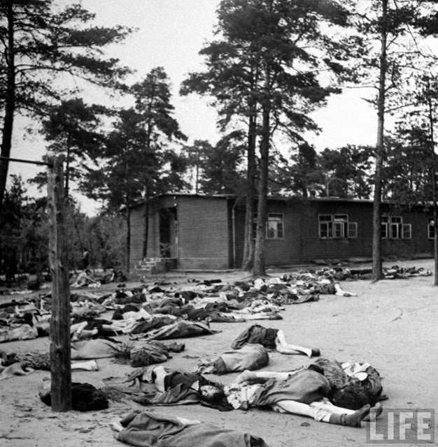 liberation-of-bergen-belsen-concentration-camp-12