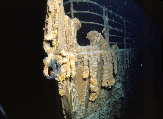 5 x 7 Full Color Titanic's Bow At The Wreck Site Photo 