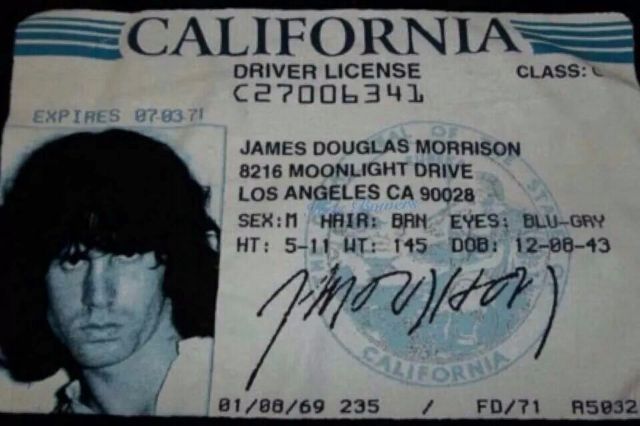celebrity vintage drivers license 16