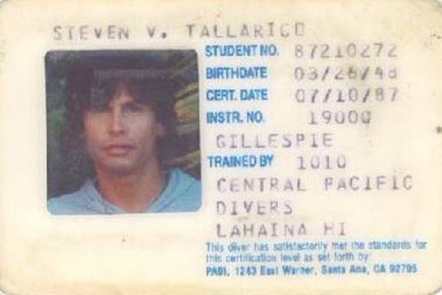 celebrity vintage drivers license 9