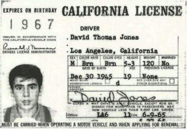 celebrity vintage drivers license 8