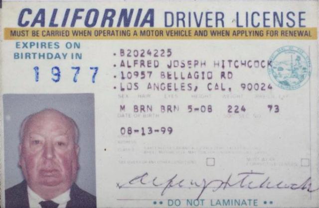 celebrity vintage drivers license 4