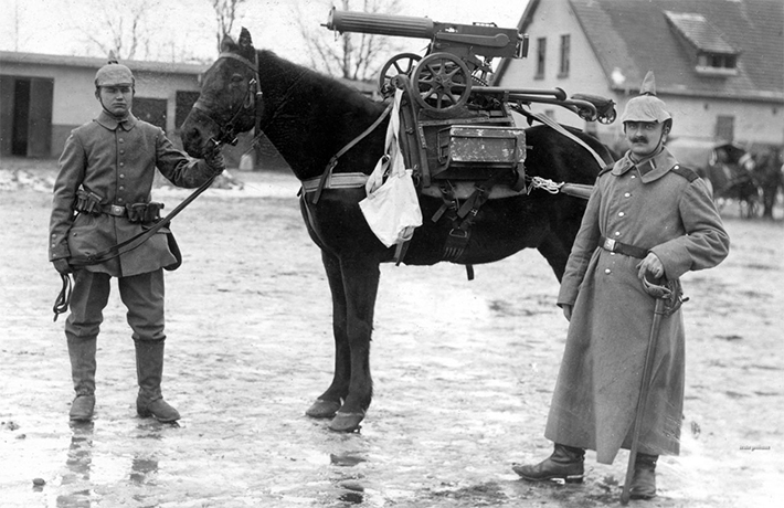 WWI in Photos: Animals That Went to War | History Daily