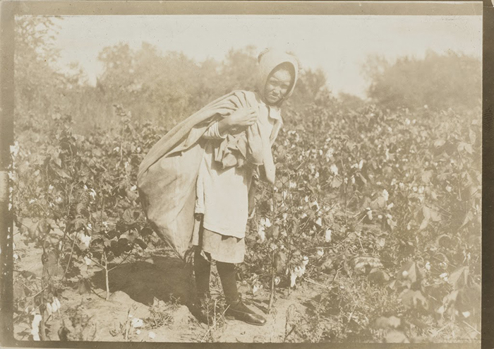 Cotton-Workers-13