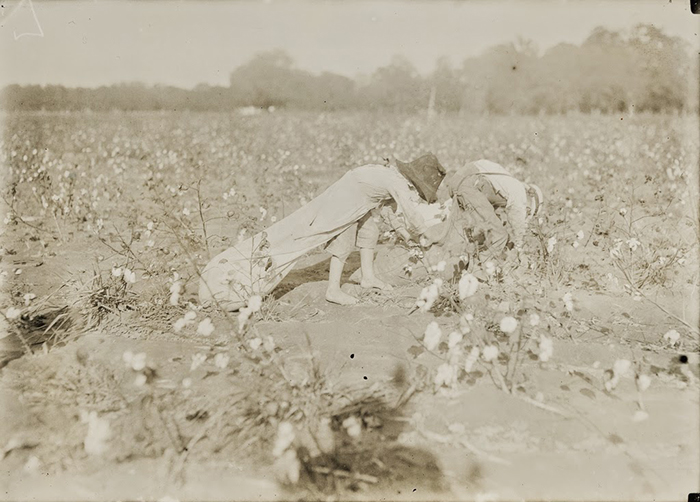 Cotton-Workers-6