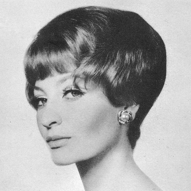 1960s Hairstyle 2