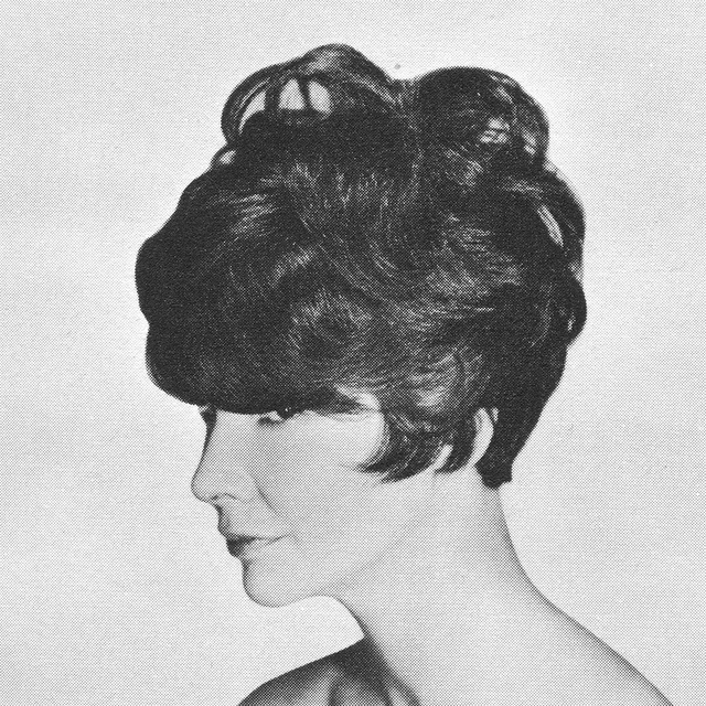 1960s Hairstyle 40