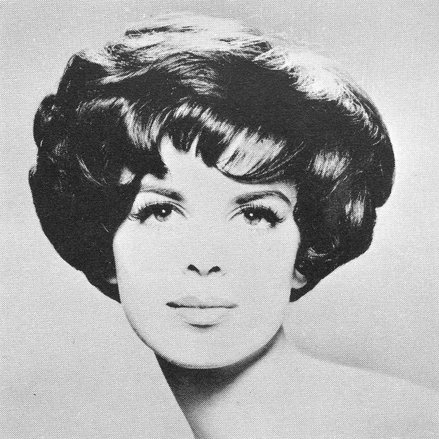 1960s Hairstyle 33