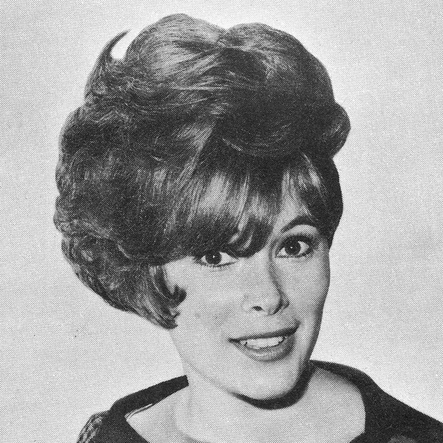 1960s Hairstyle 34