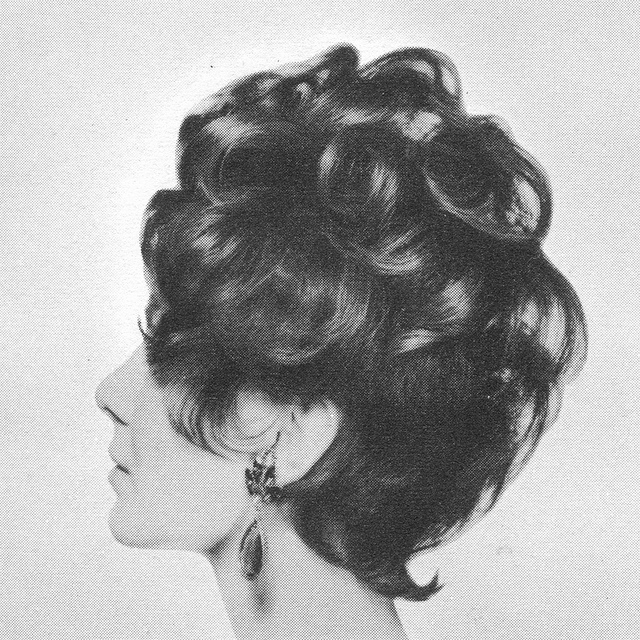 1960s Hairstyle 41
