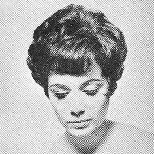 1960s Hairstyle 8
