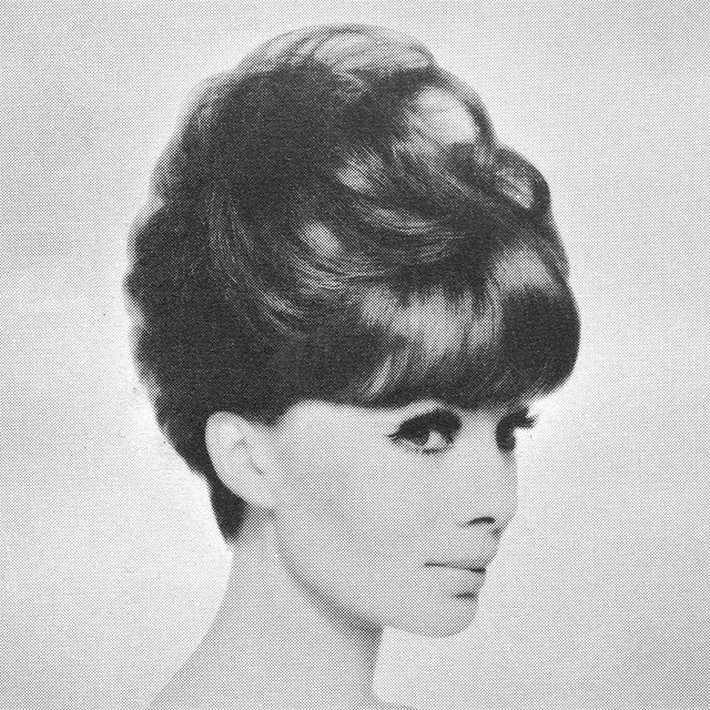1960s Hairstyle 39