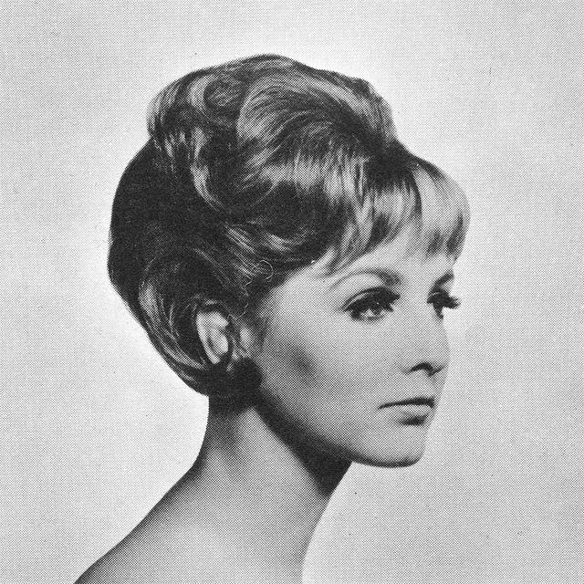 1960s Hairstyle 19