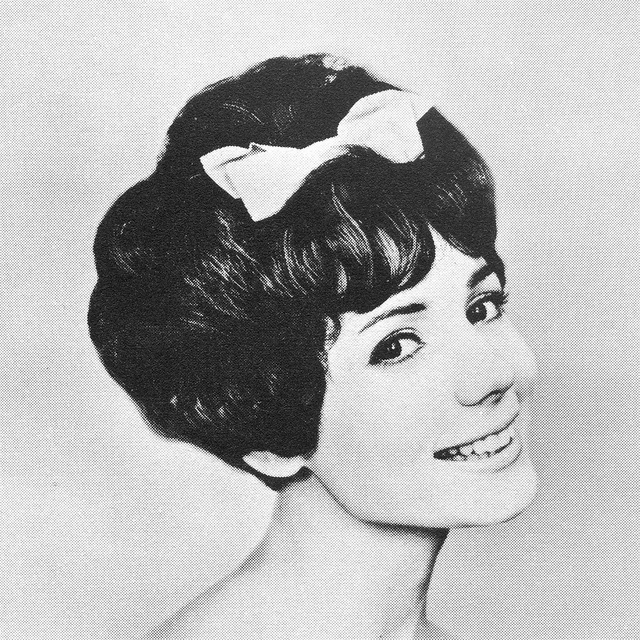 1960s Hairstyle 16