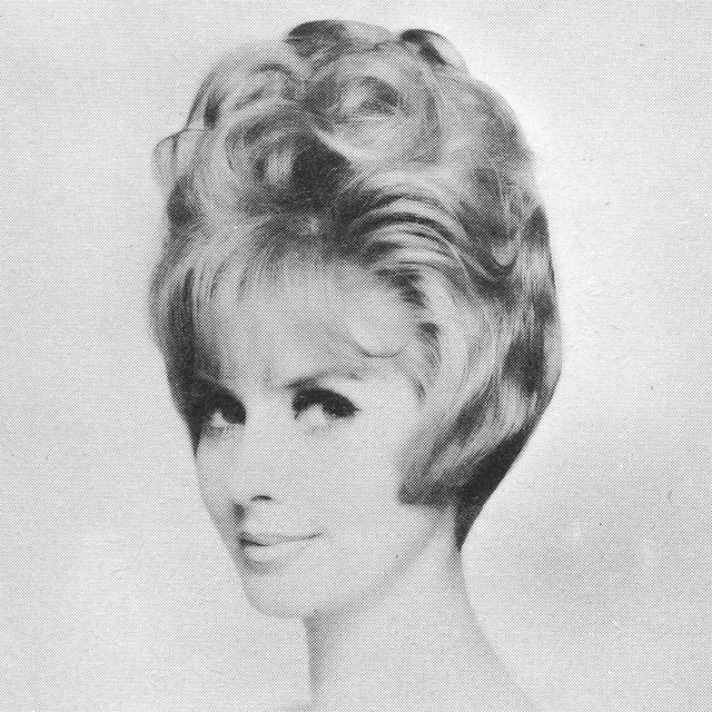 1960s Hairstyle 18