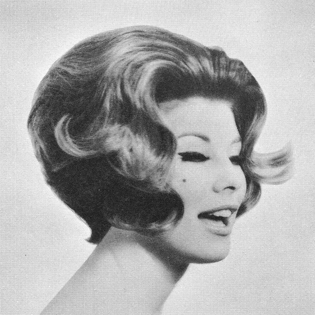 1960s Hairstyle 46