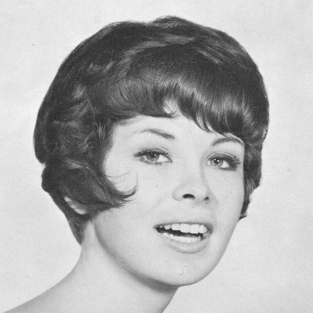 1960s Hairstyle 50