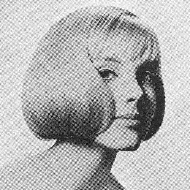 1960s Hairstyle 12