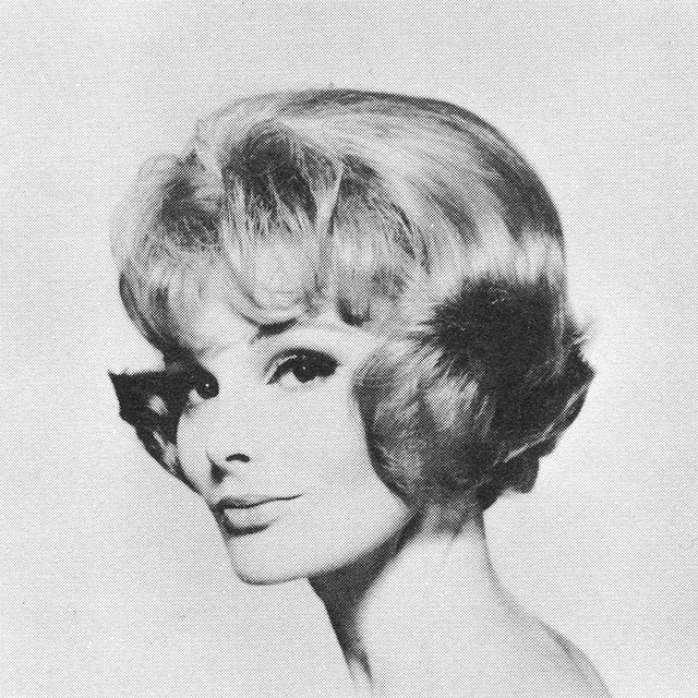 1960s Hairstyle 27