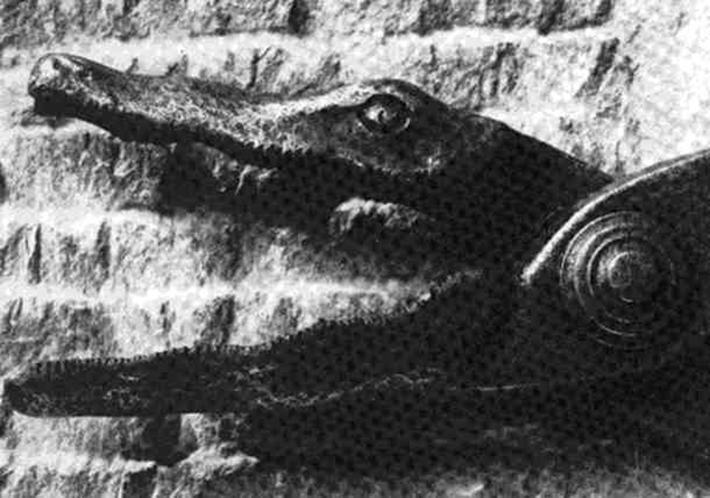 brutal torture devices - crocodile shears