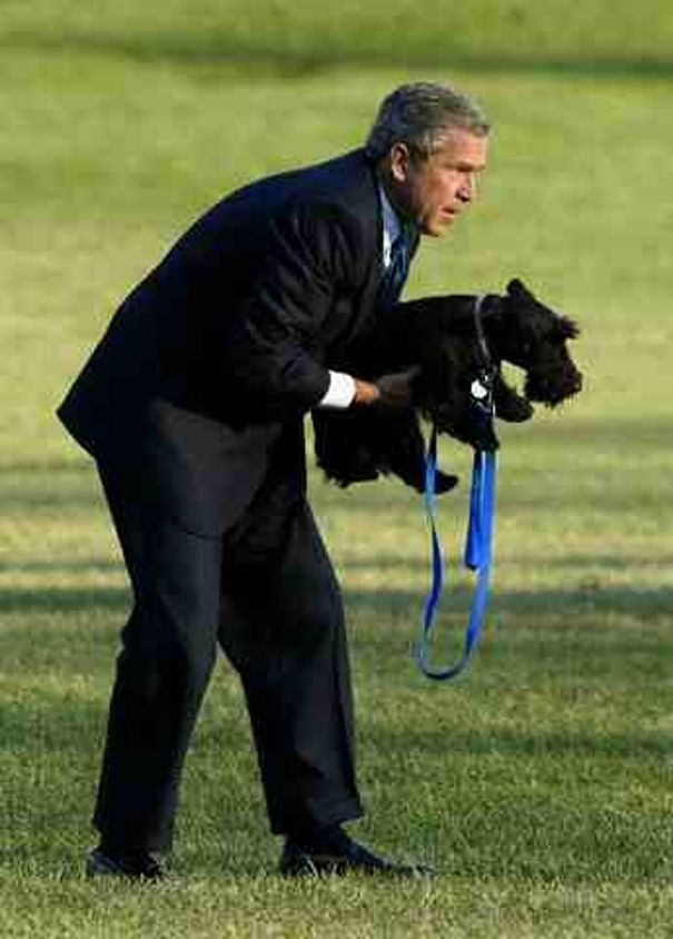 presidential-dogs-8